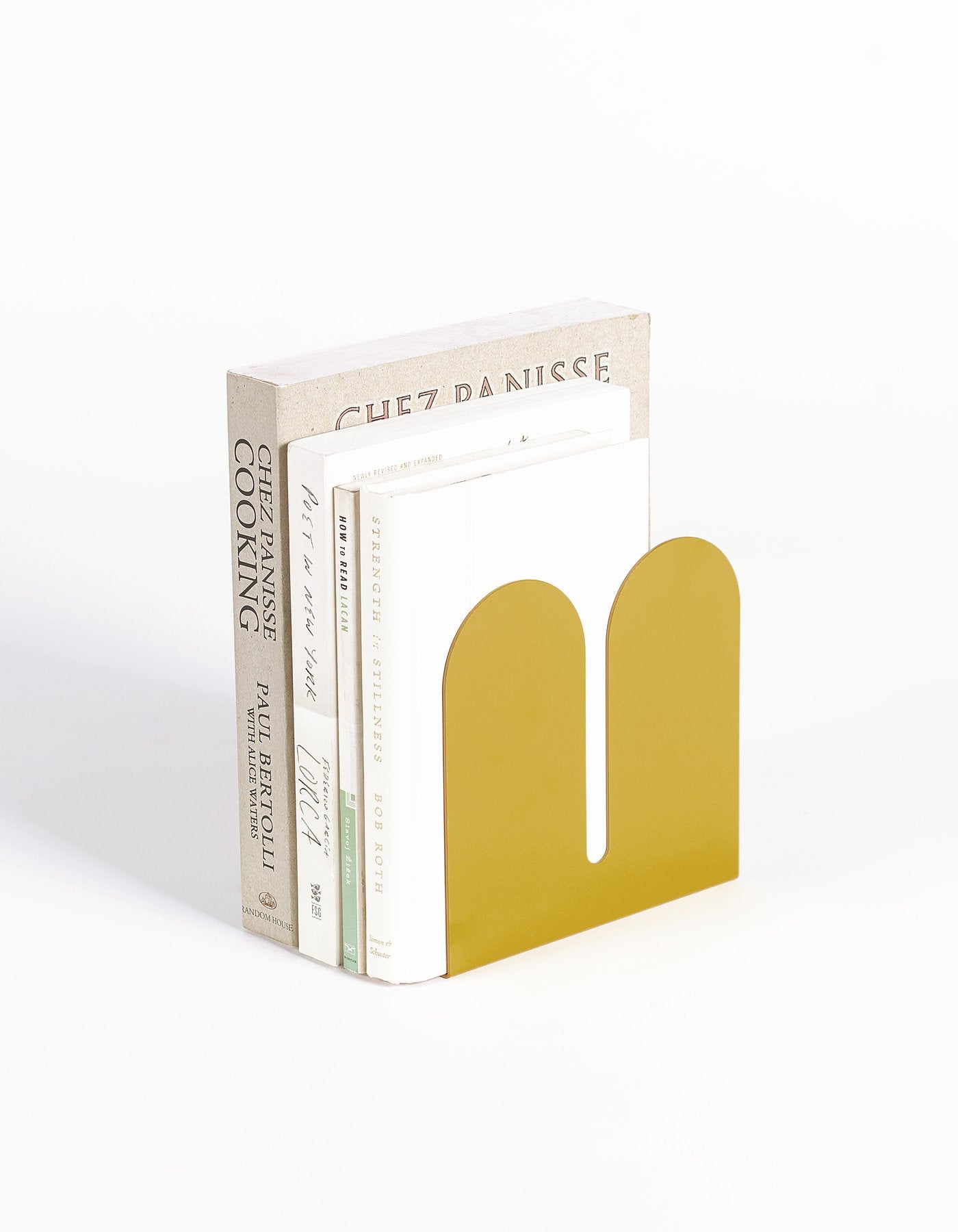 L CACTUS - vulcain_Store