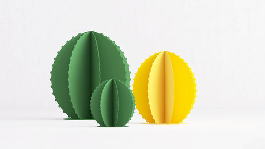 Cactus rond - vulcain_Store