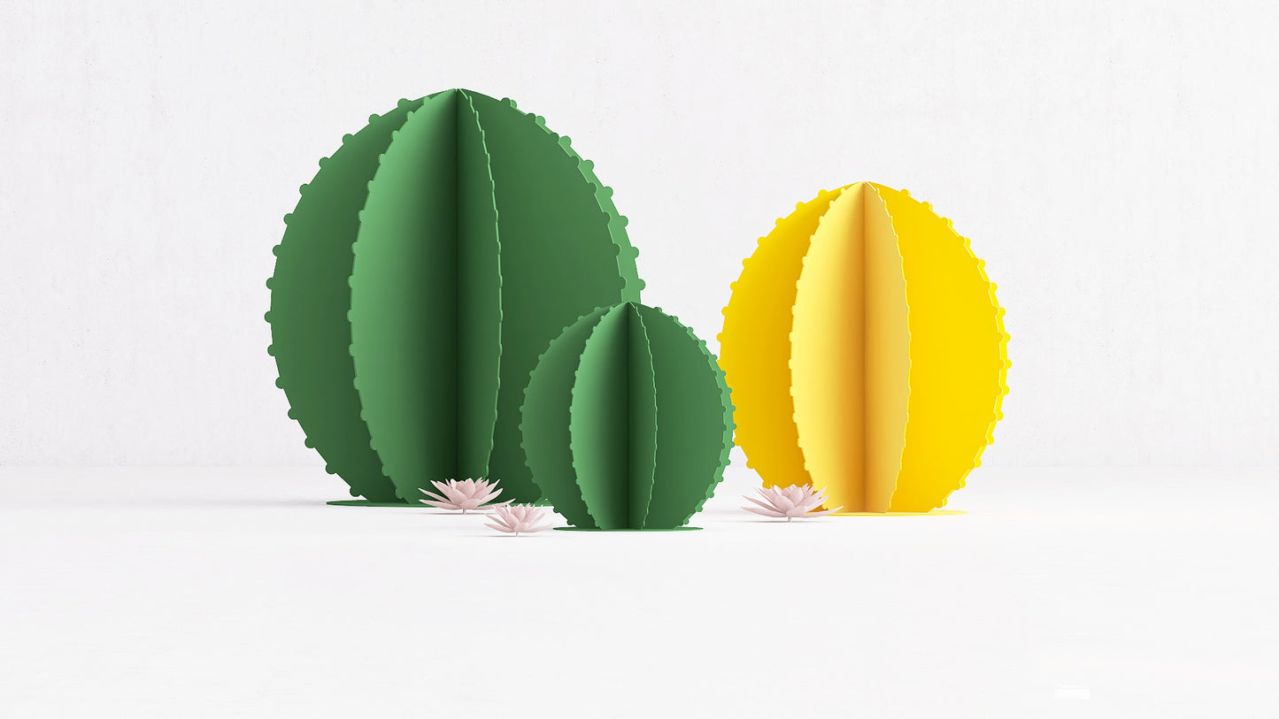 Cactus rond - vulcain_Store