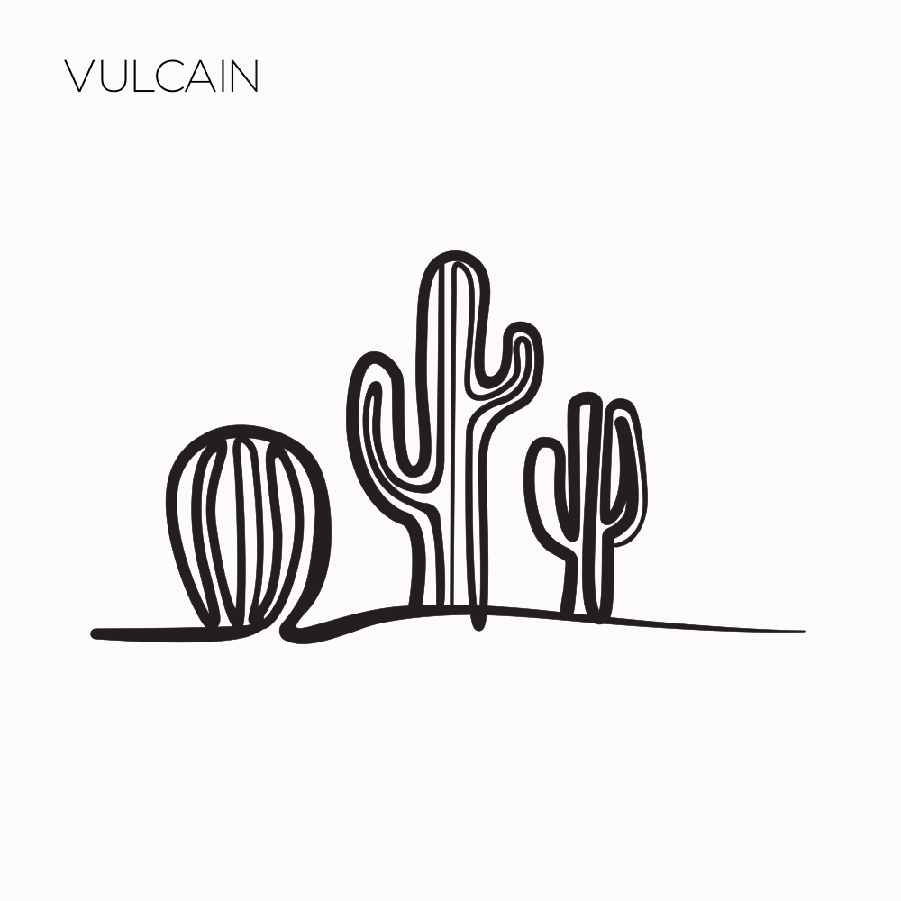 Cactusa - vulcain_Store