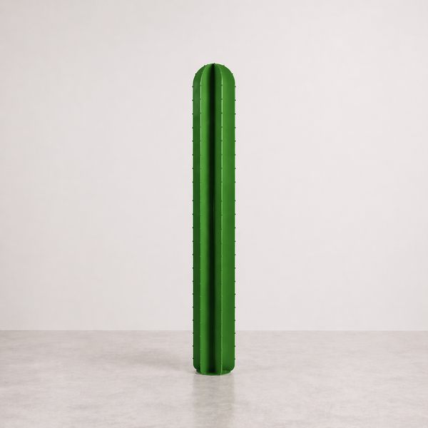 Cactus droit