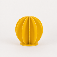 Cactus rond