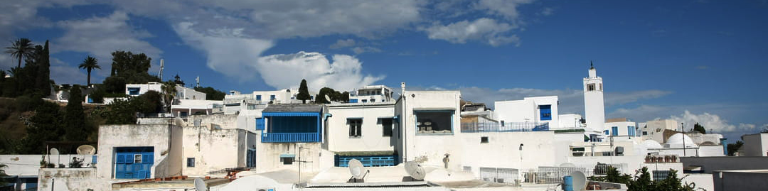 Sidi Bou Said - Skyline - vulcain_Store