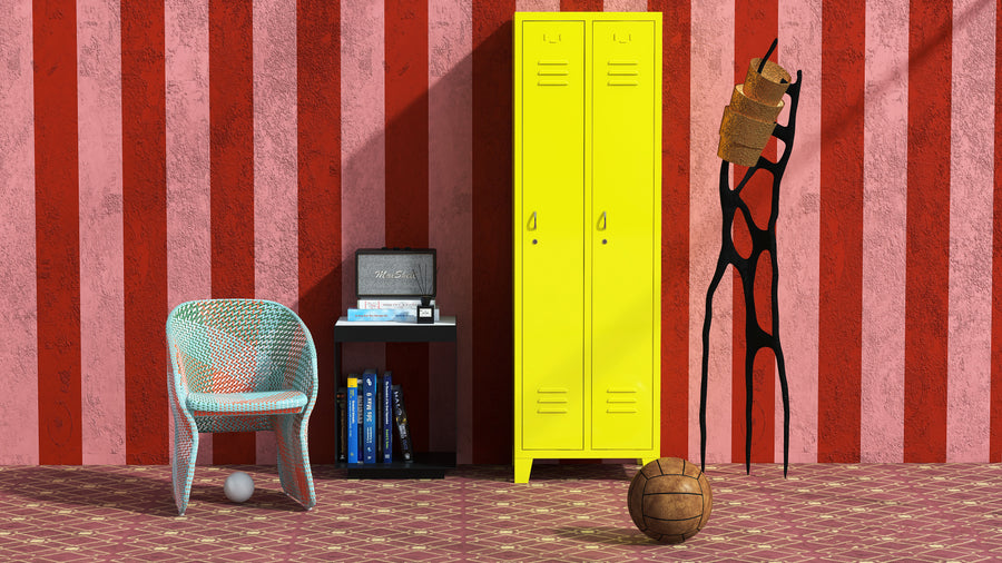 Bibliothèques et parois aménagées