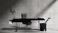 Ray - vulcain_Store
