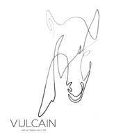 Le cheval - Animaux - vulcain_Store